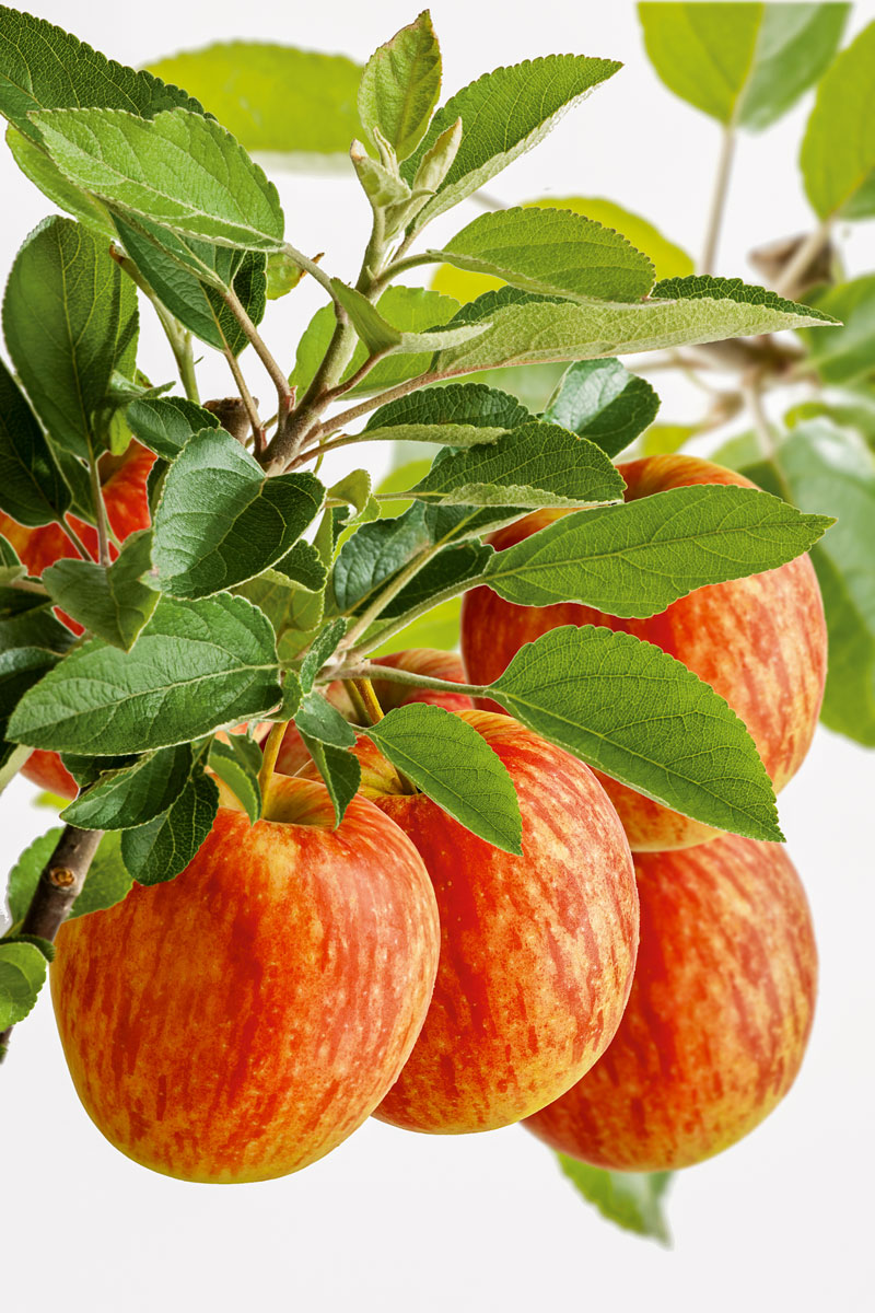 db70fdc4596b7f082a935e4ba79969e7