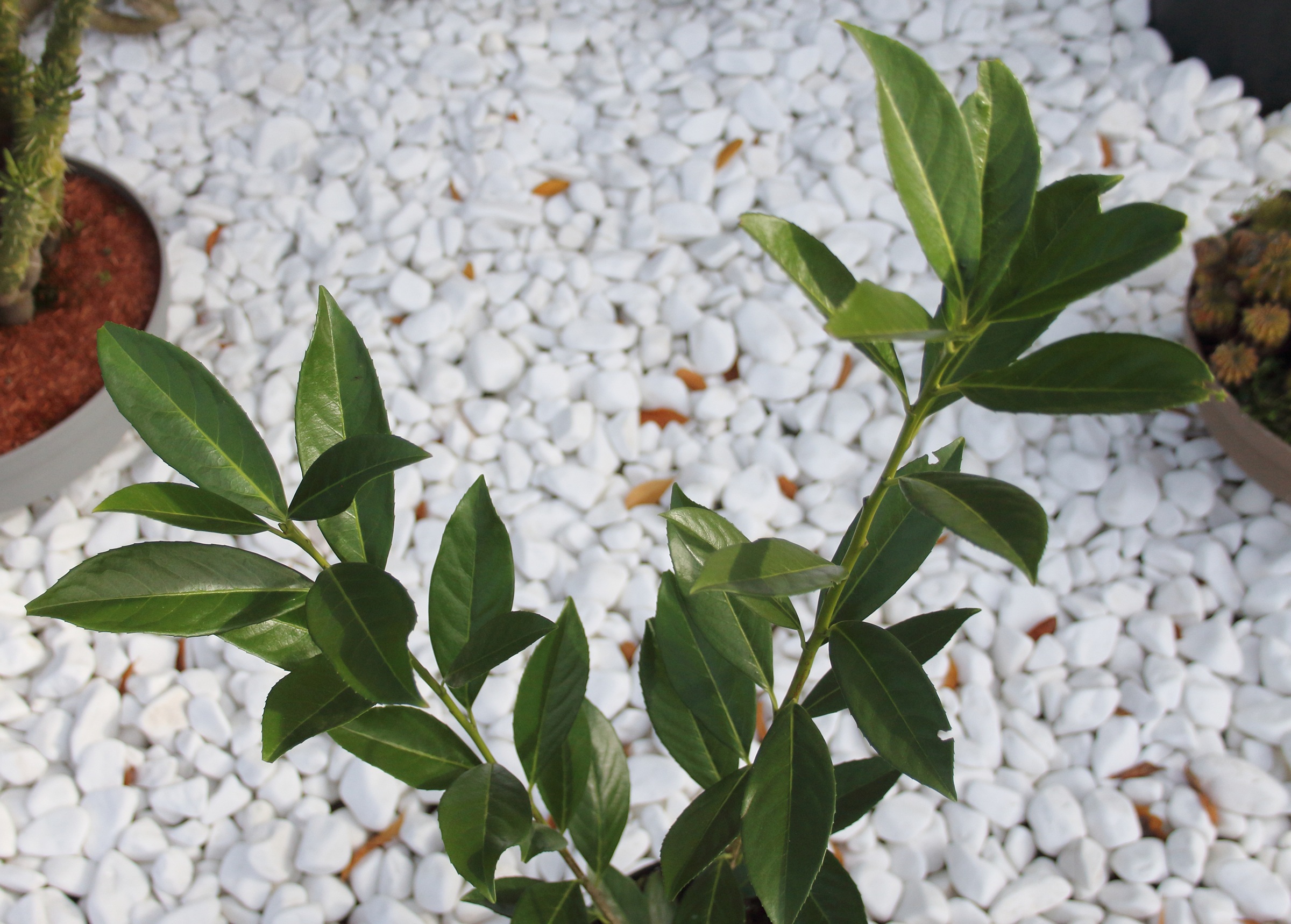 dd31a02b9489d3b8c5781ba84f7bd428