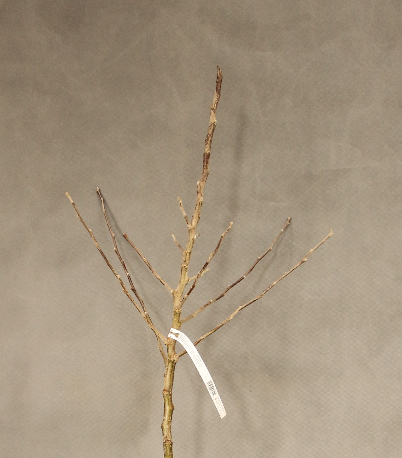 a6d147ae9c13dea49aca27512012fae4