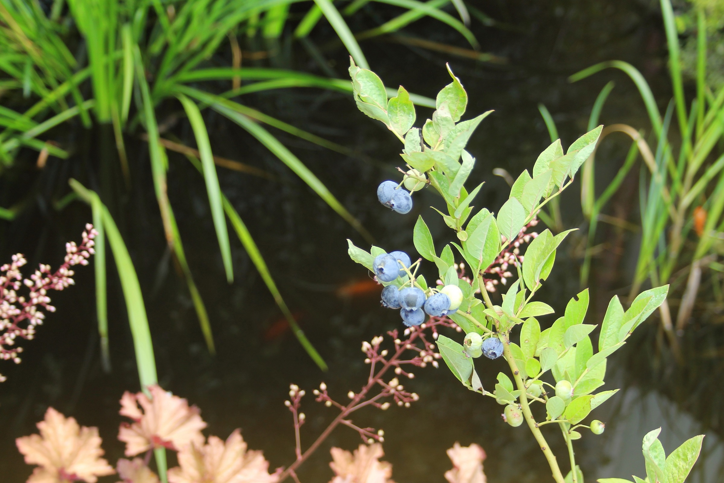 6833b5483dc7fef9863d2211fc4a2999