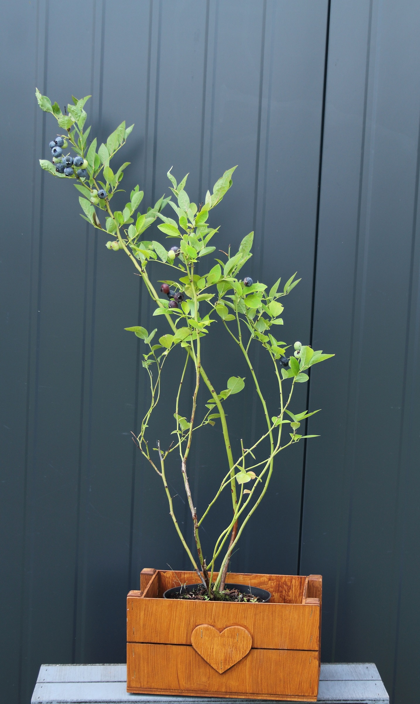 c72ba7bee519d40c7dcccbd6efe95ec2