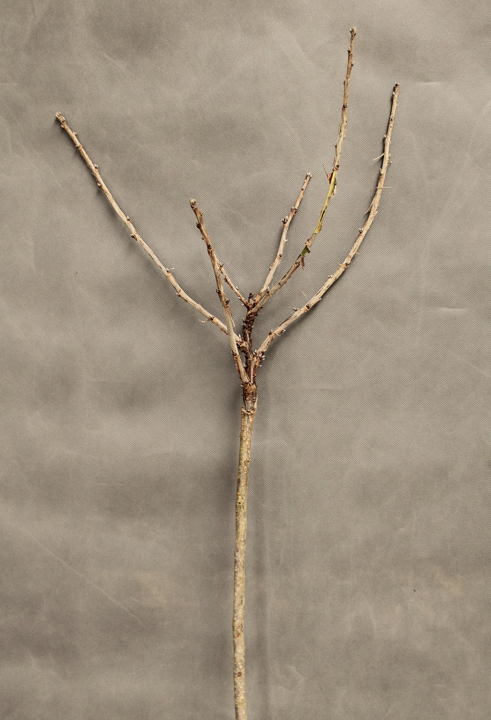 20069482a398cc3ddc2a52345c80c735