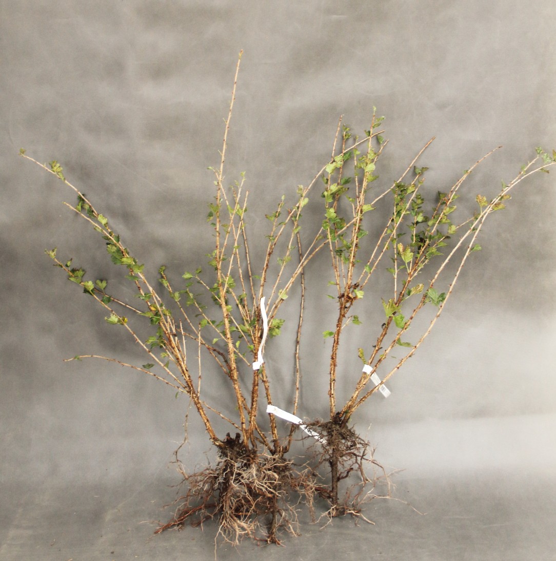 b9bd6f45bb4b3902fab9dc6f84289206