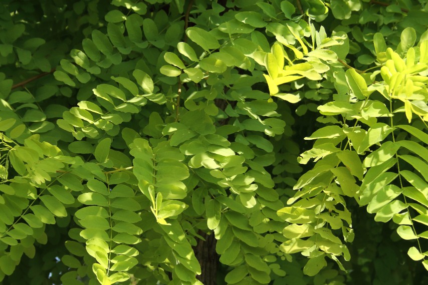 e5919ecfd5aa1528814f0bed6e5e92ae