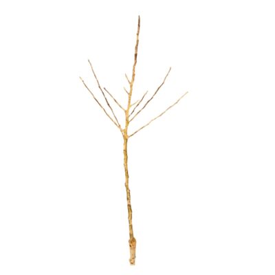 7ee07e05a510dda0d075c47edd769856