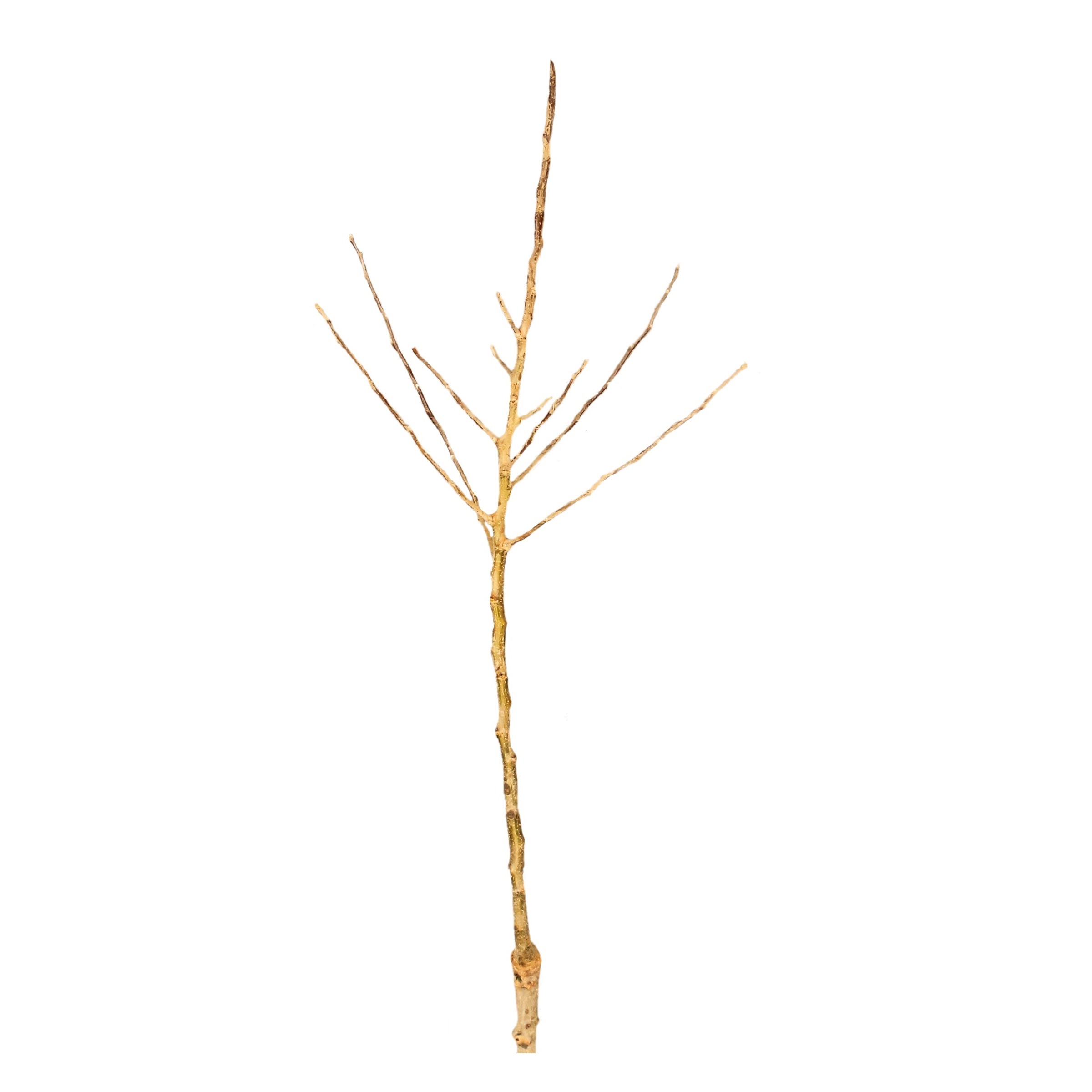 7ee07e05a510dda0d075c47edd769856