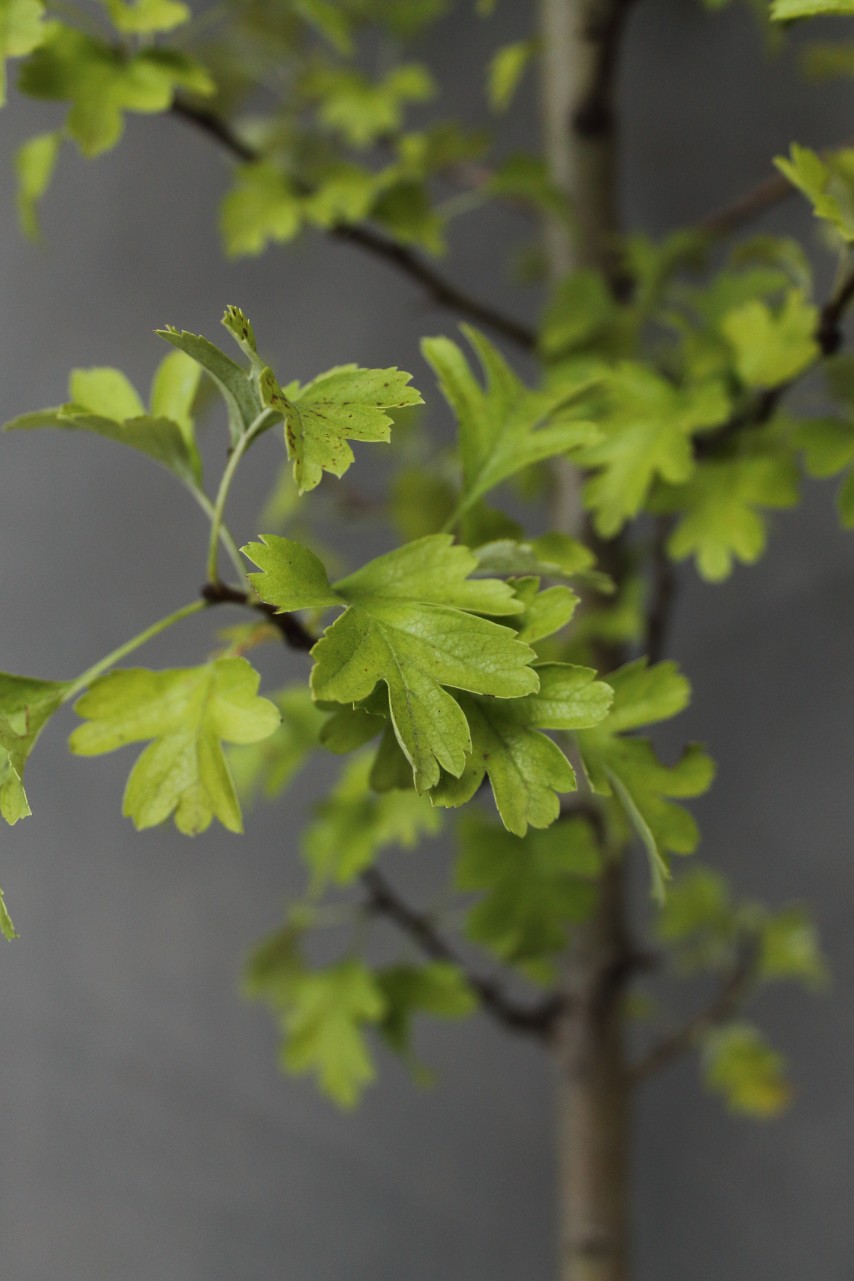 f1e3cdc1b12a8b23384188073ffc32fb