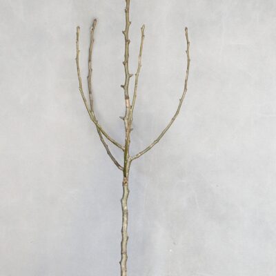 66e70cd0deda173fcfc92fbc6dc4e59a