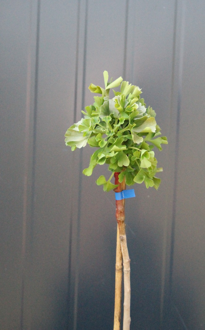 04094feba3cdc4333a49313fec9ac819