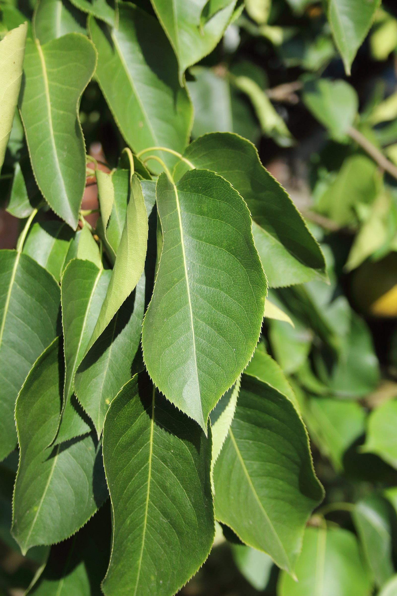 b5aff629f08f31ff2357abdc181bb4c7