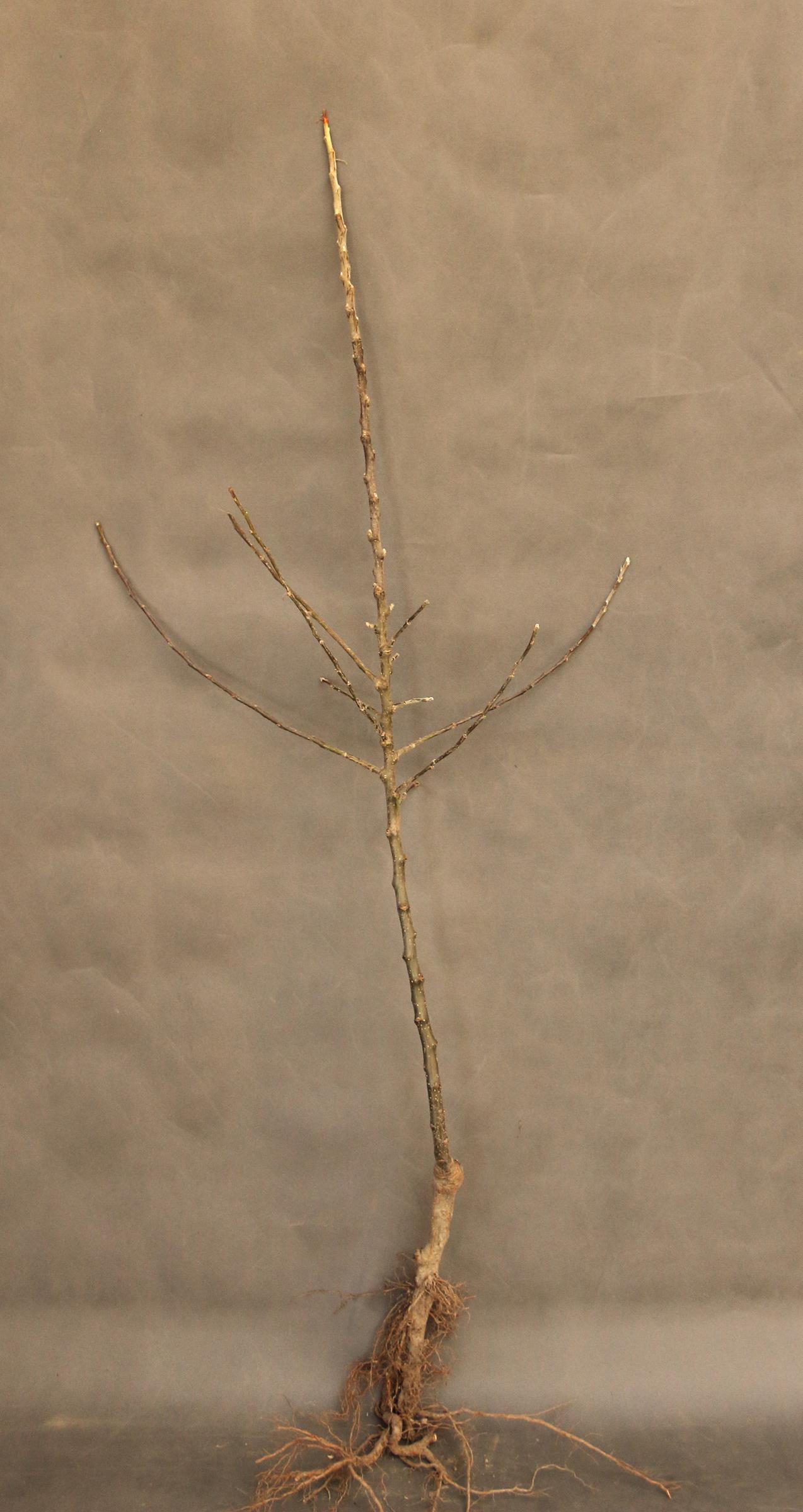 d8621df440bddd3c21bcd45165b6c880