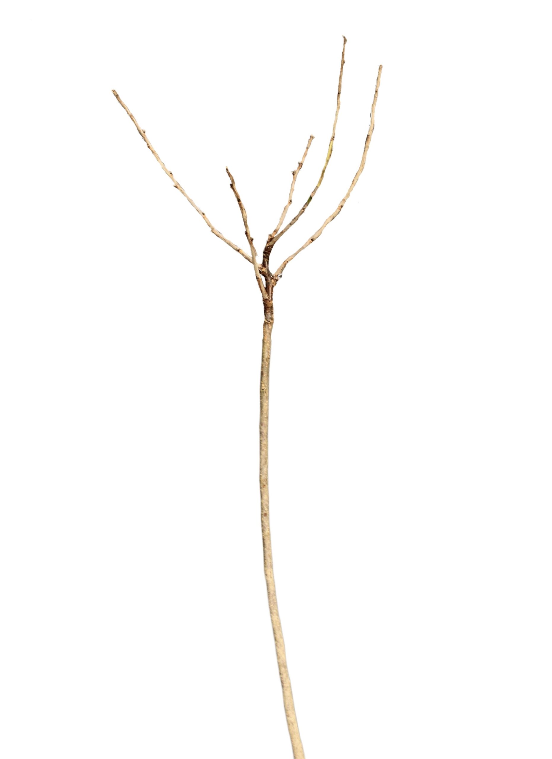 7814d27059b378ca545b26aa1084435f