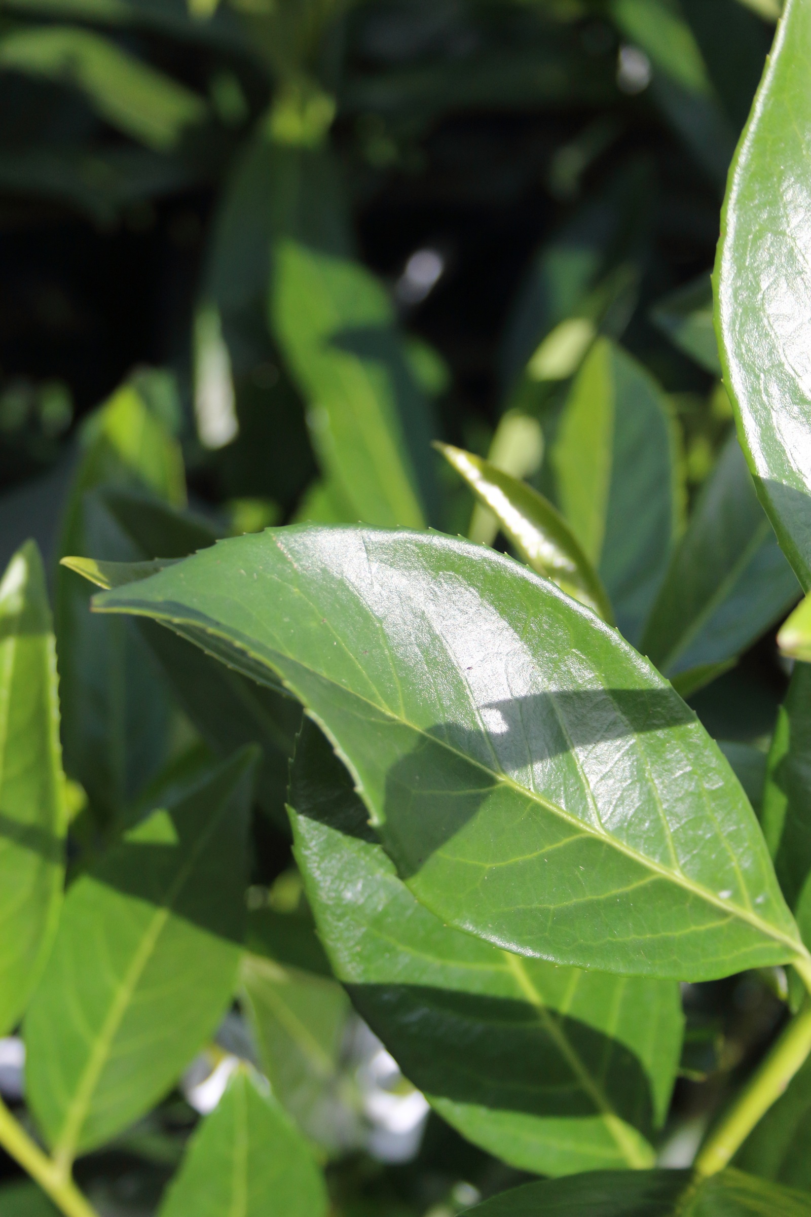 b8dd7c68dc759934bb8c68c3547793ea