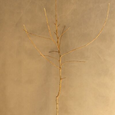 7adbff476723046da81f24029e854ec4