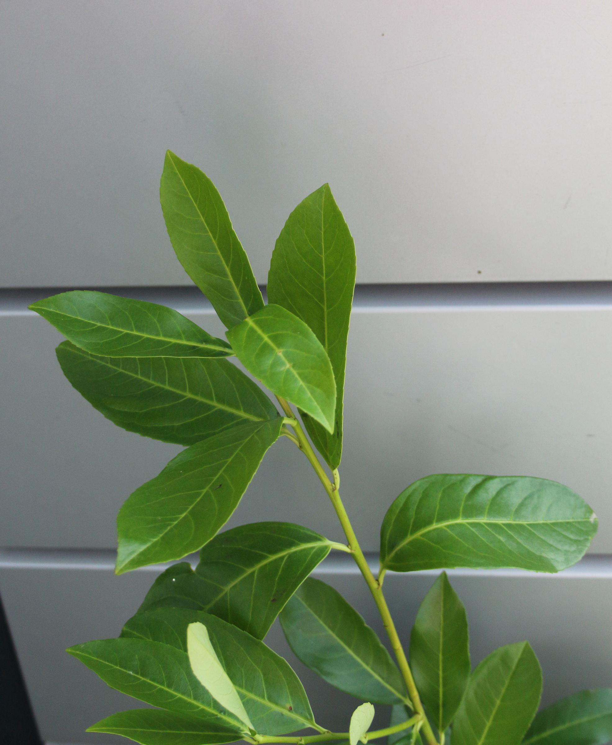 44d83b9b7d931a9cfbdd0b1acded2ad4