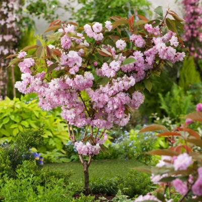 49aac1edf9b49347f4a53e7e238cc46c