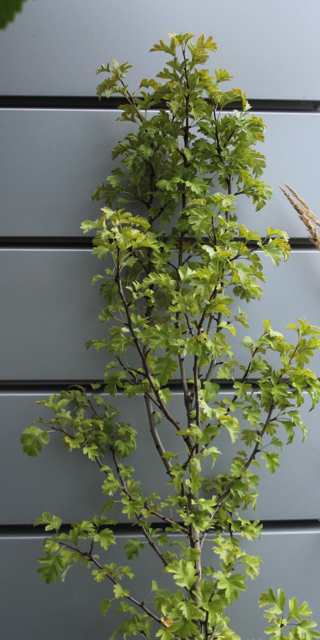 8e95f492c80ec27fee78ae7fc4720c49