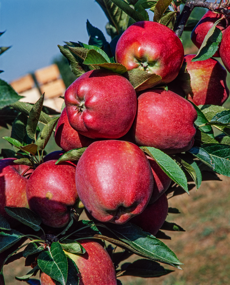 5d9c09915dde92fb04f02ac6dbc29c4d