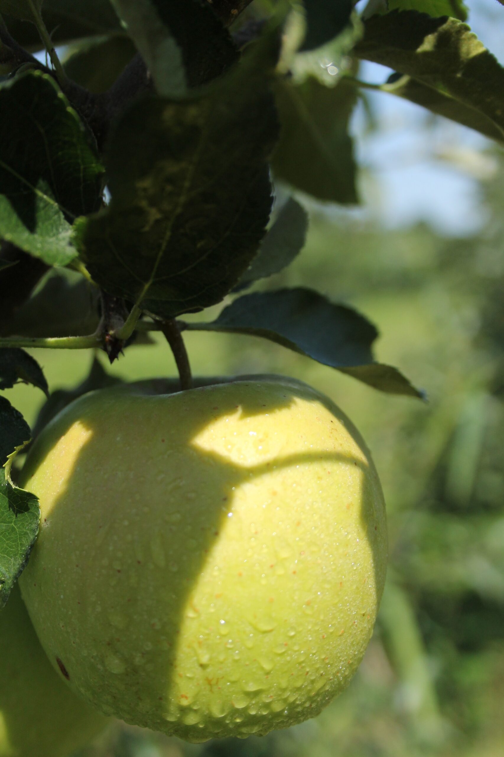 9ab7e92d88b1abb54d06ad517cc72974