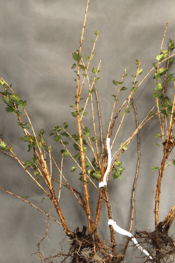 bd5870798ac1e43657ee1c32ab9ff7e0