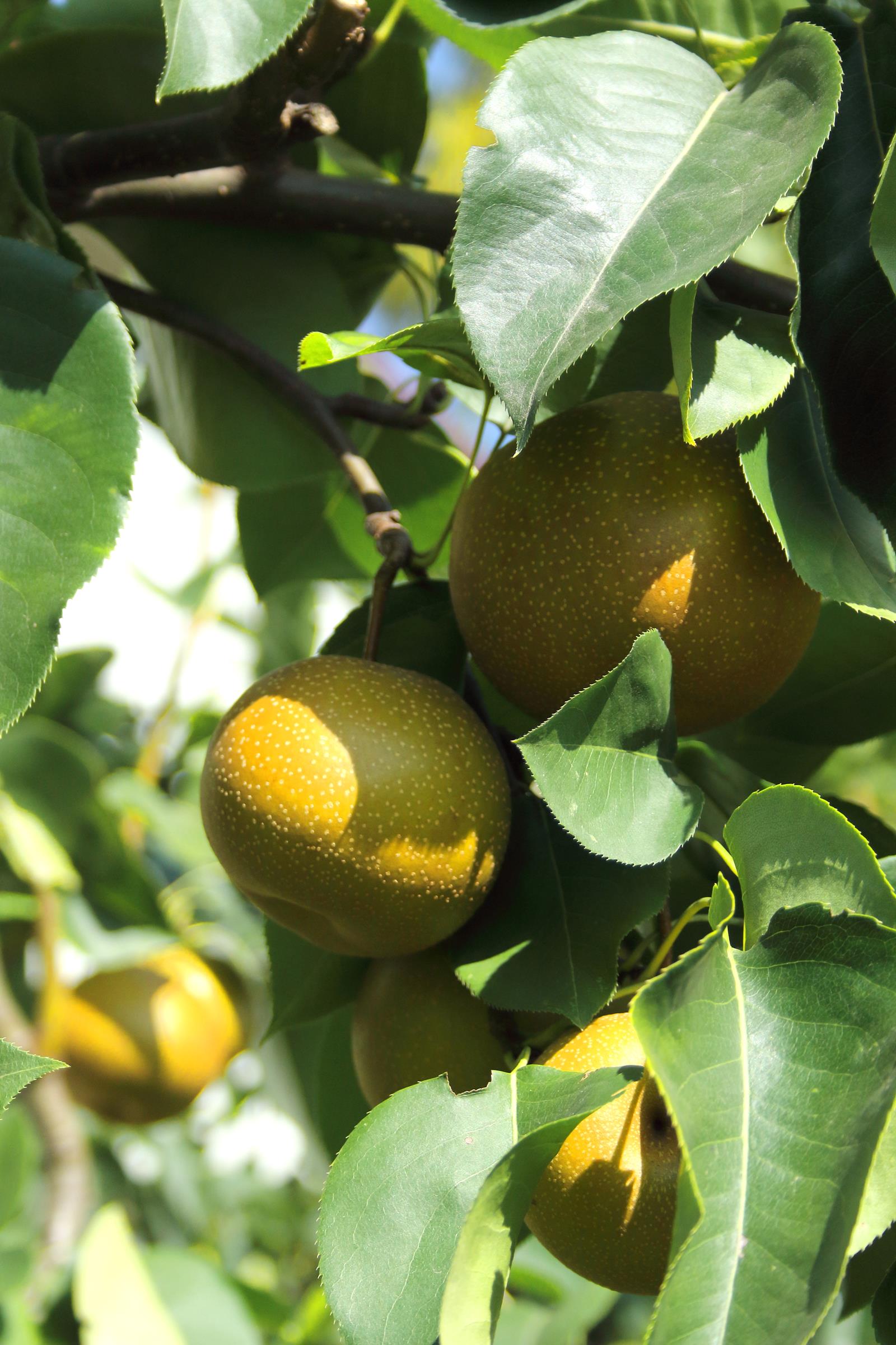 79666faa28547b6b4b0f4db02ea0f45d