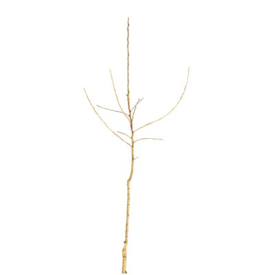 af91e09ab5a8f1796914b152ba1763f5