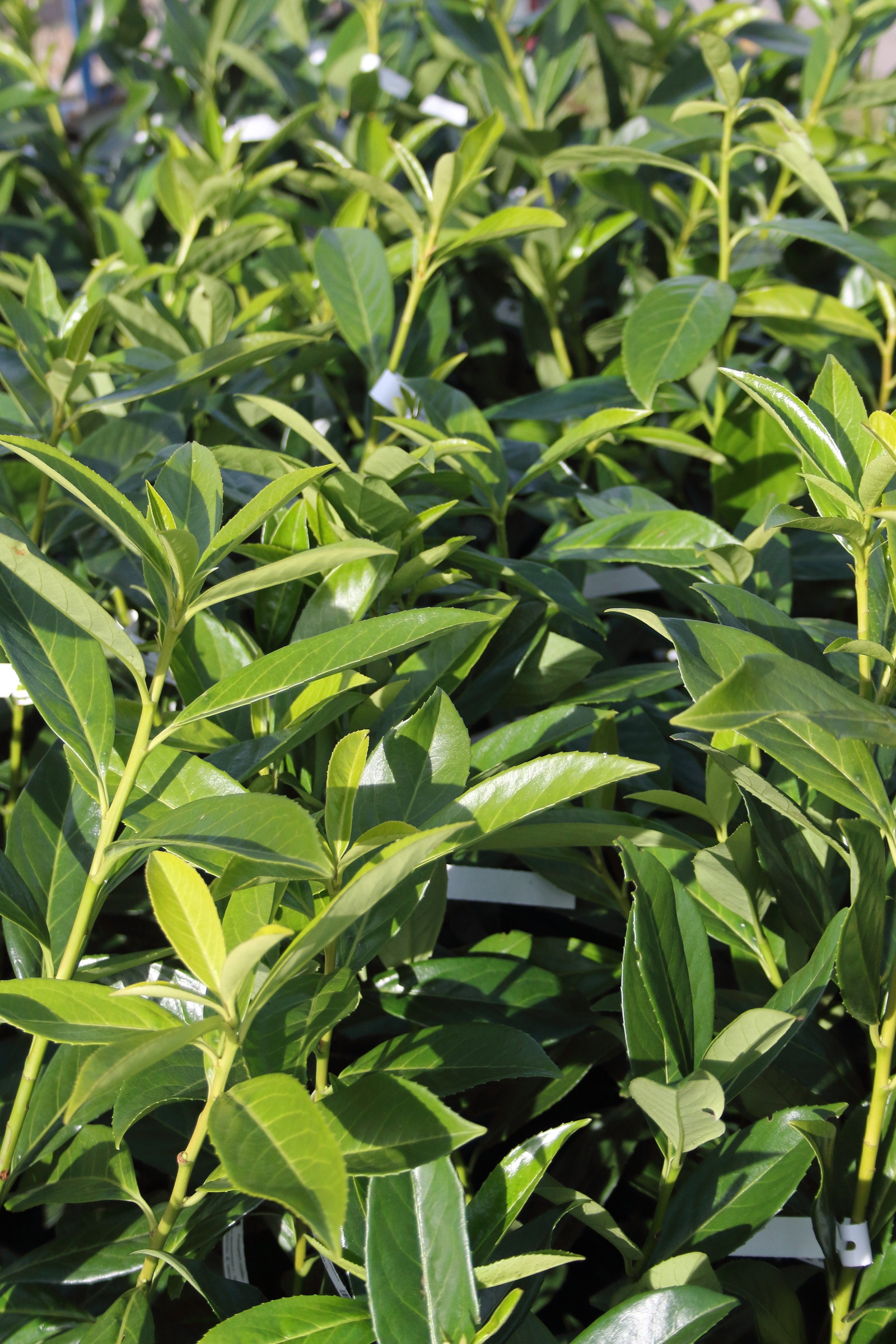 db3b8ff07ab4fc8c05fff6117dbfb8ac