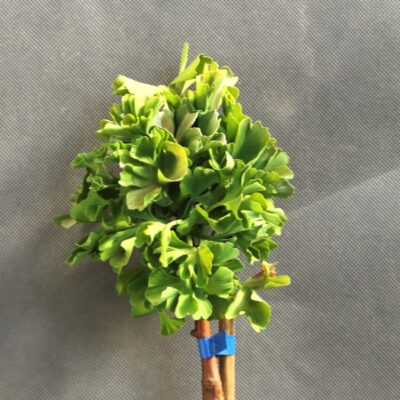 bda8423fb6a4f58fa71adbcf433e5ba5