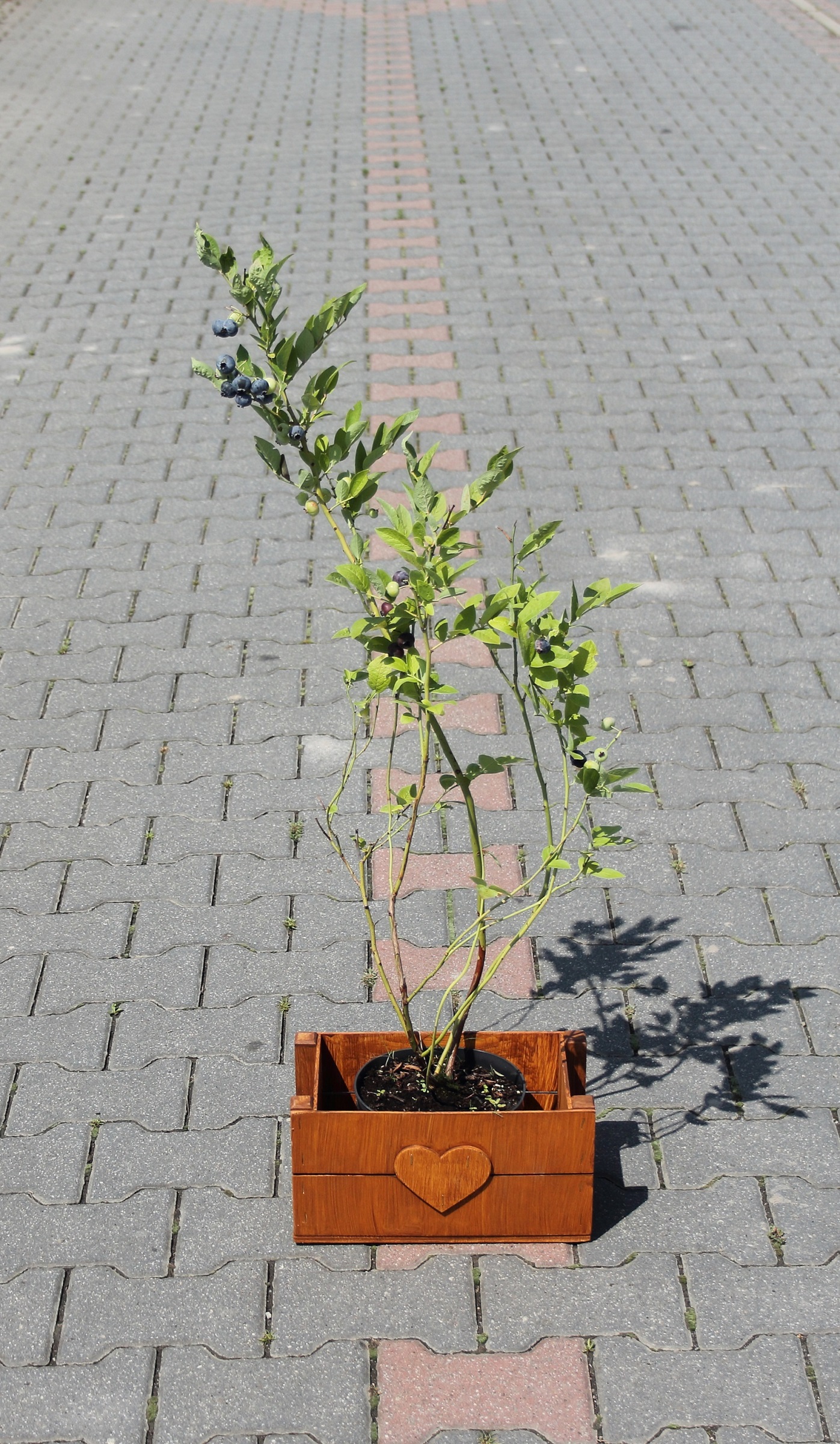 8817aa9f59089a228cff5704bf0131c1