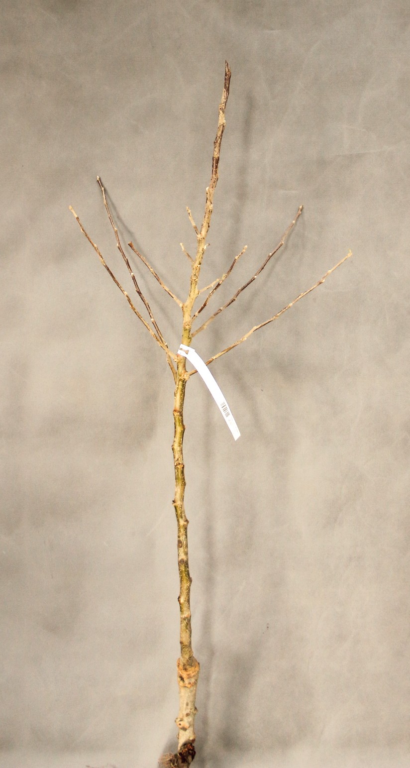 fd1f06aac9dece5aa98fed97f055f6a2