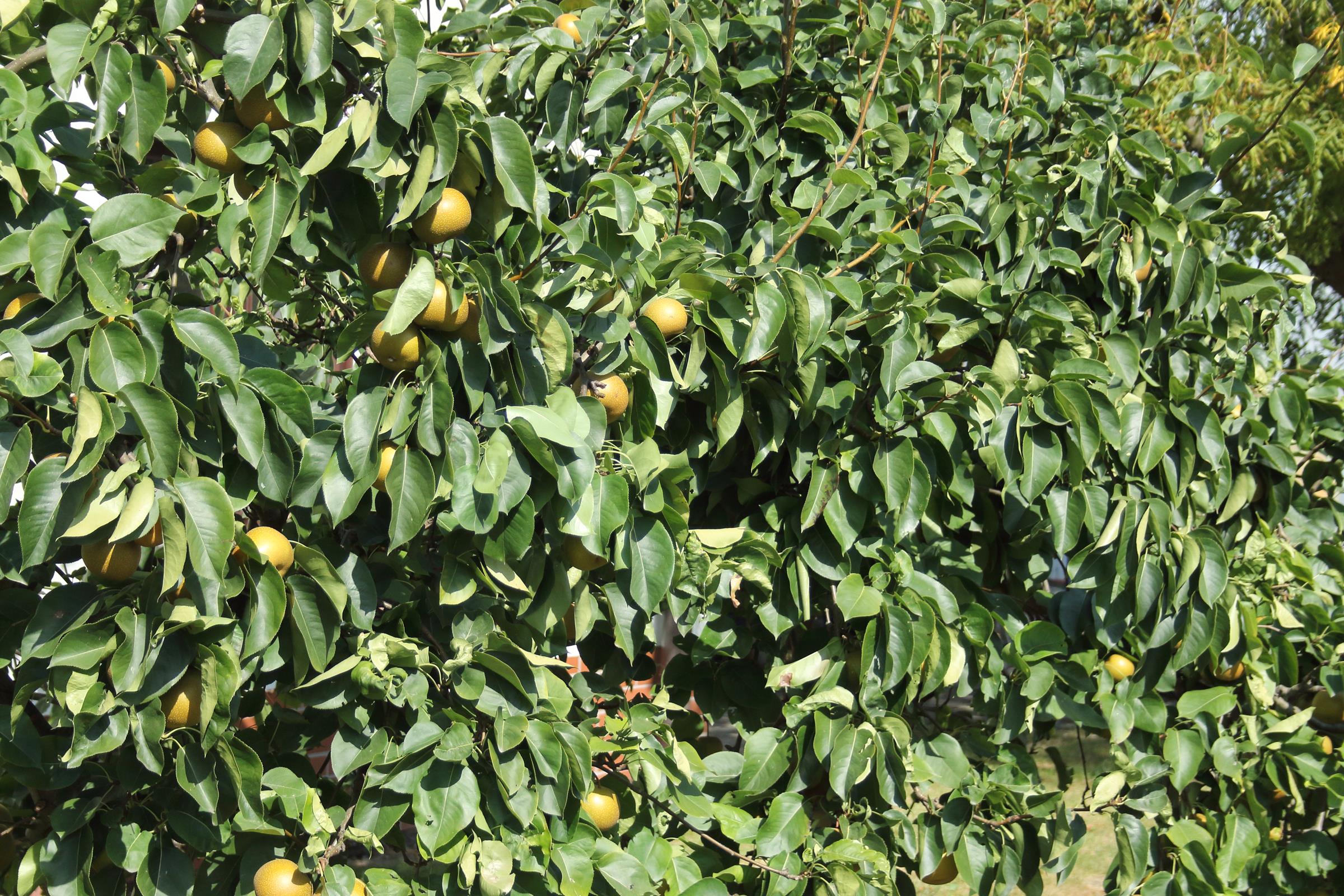 ea968962bdb6b1d403342314d5ecd13c