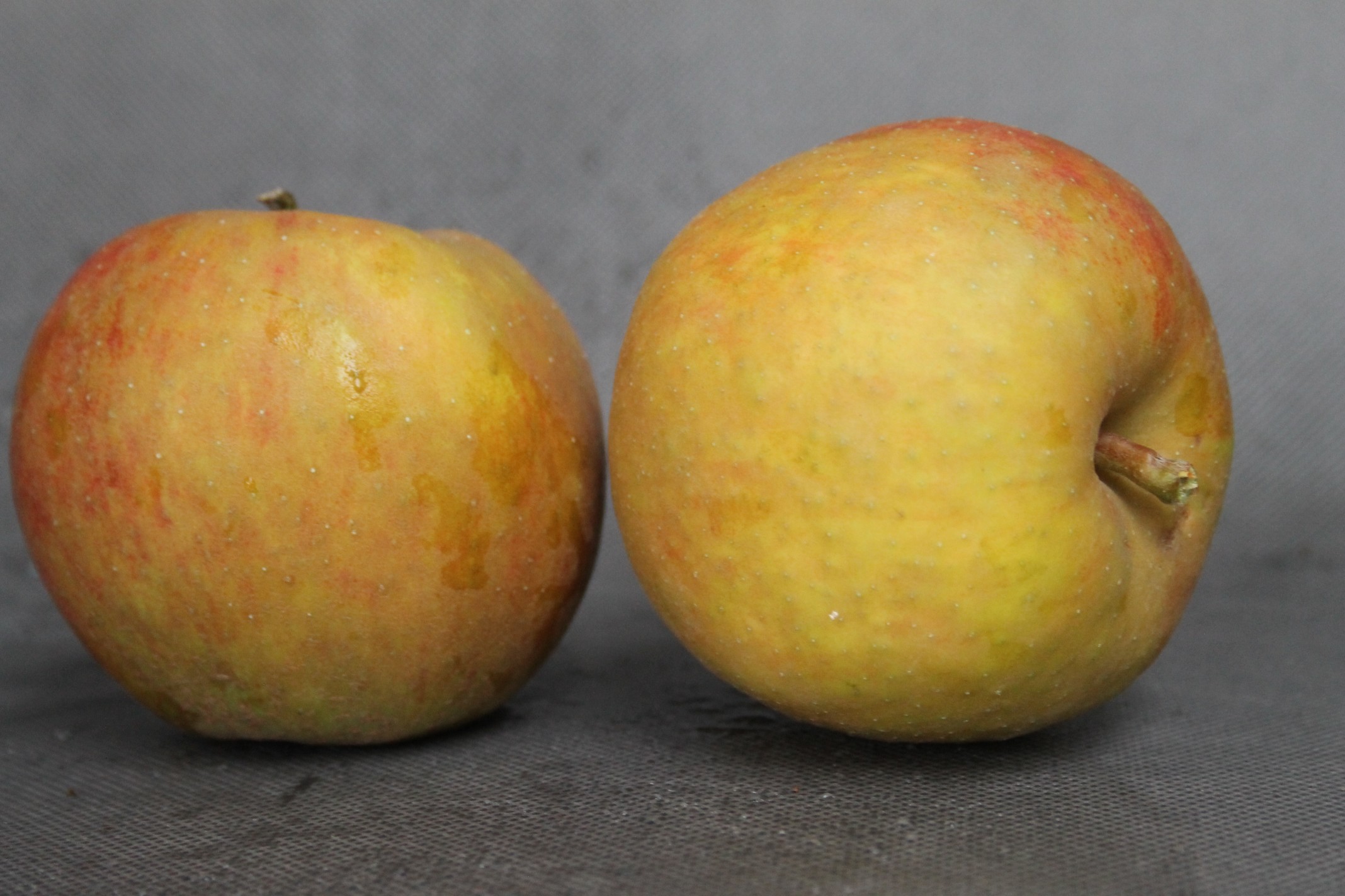 ea8d891212427a81c9c7cbd034e03e4e