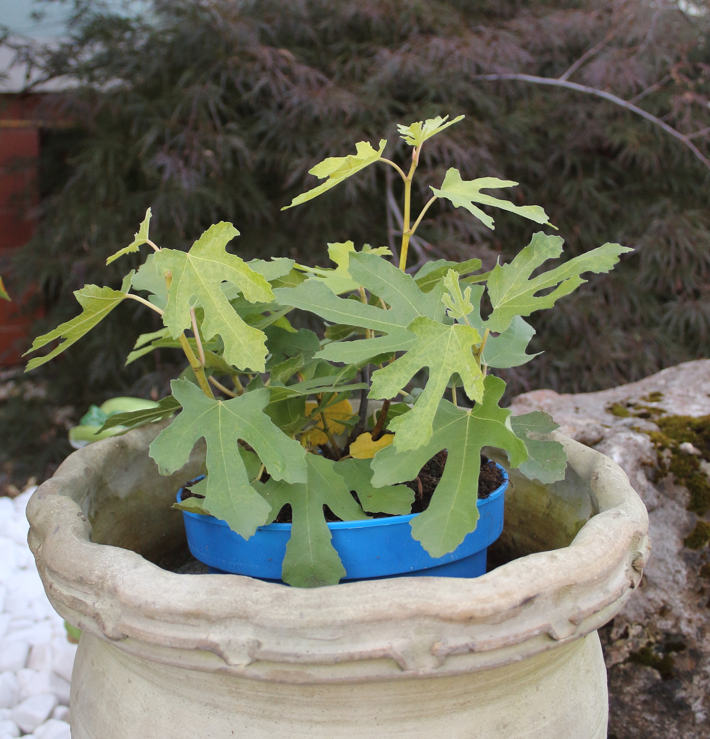 e4a3773a809520e224a14bb2ab6123ce