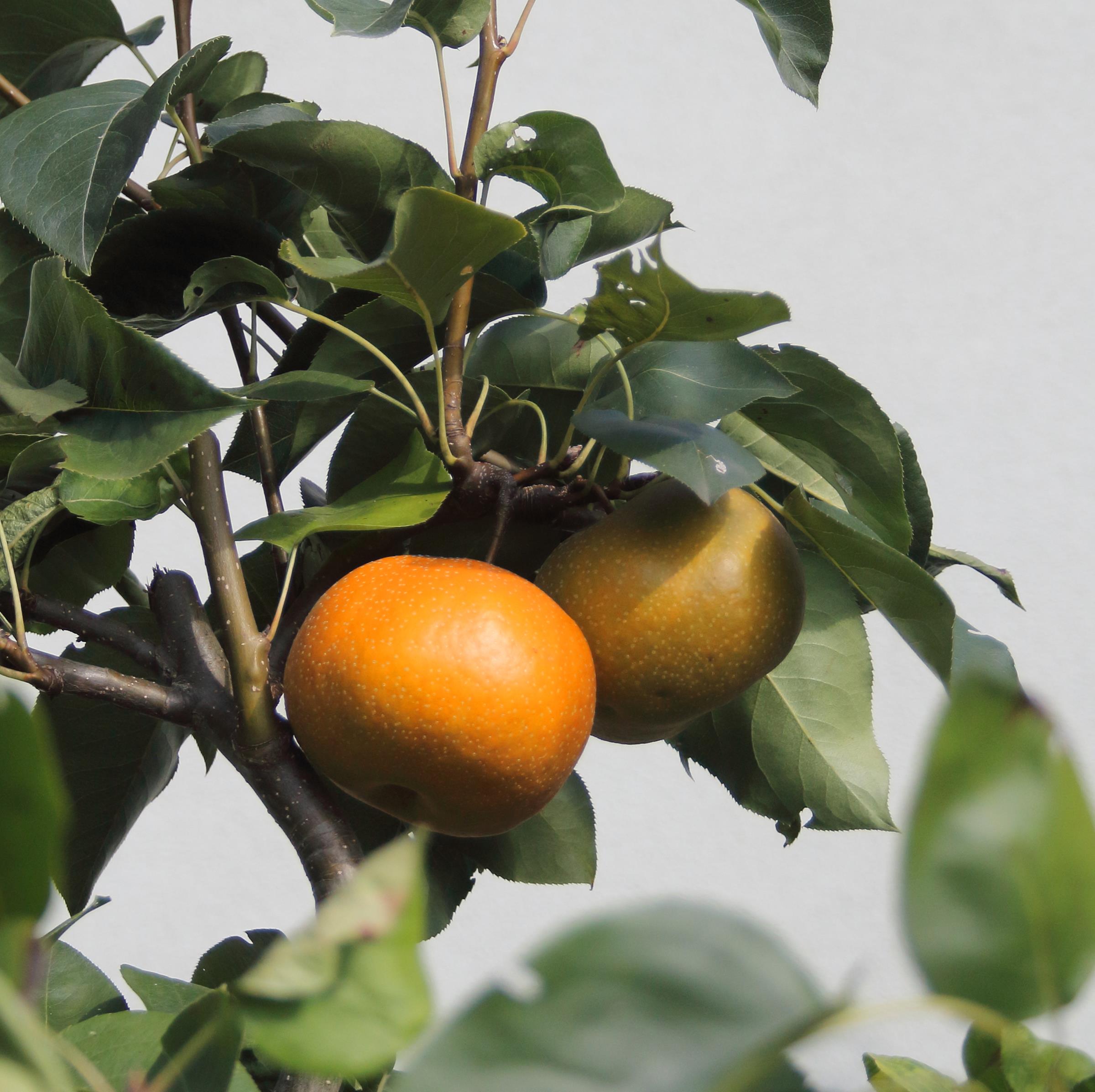 a20dba79dbabe16271b1870054721d7b