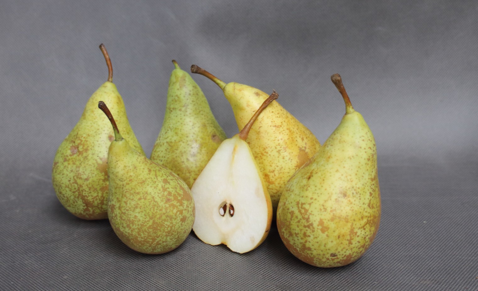 397c79d18023a0eb6fd12b710169b6b0