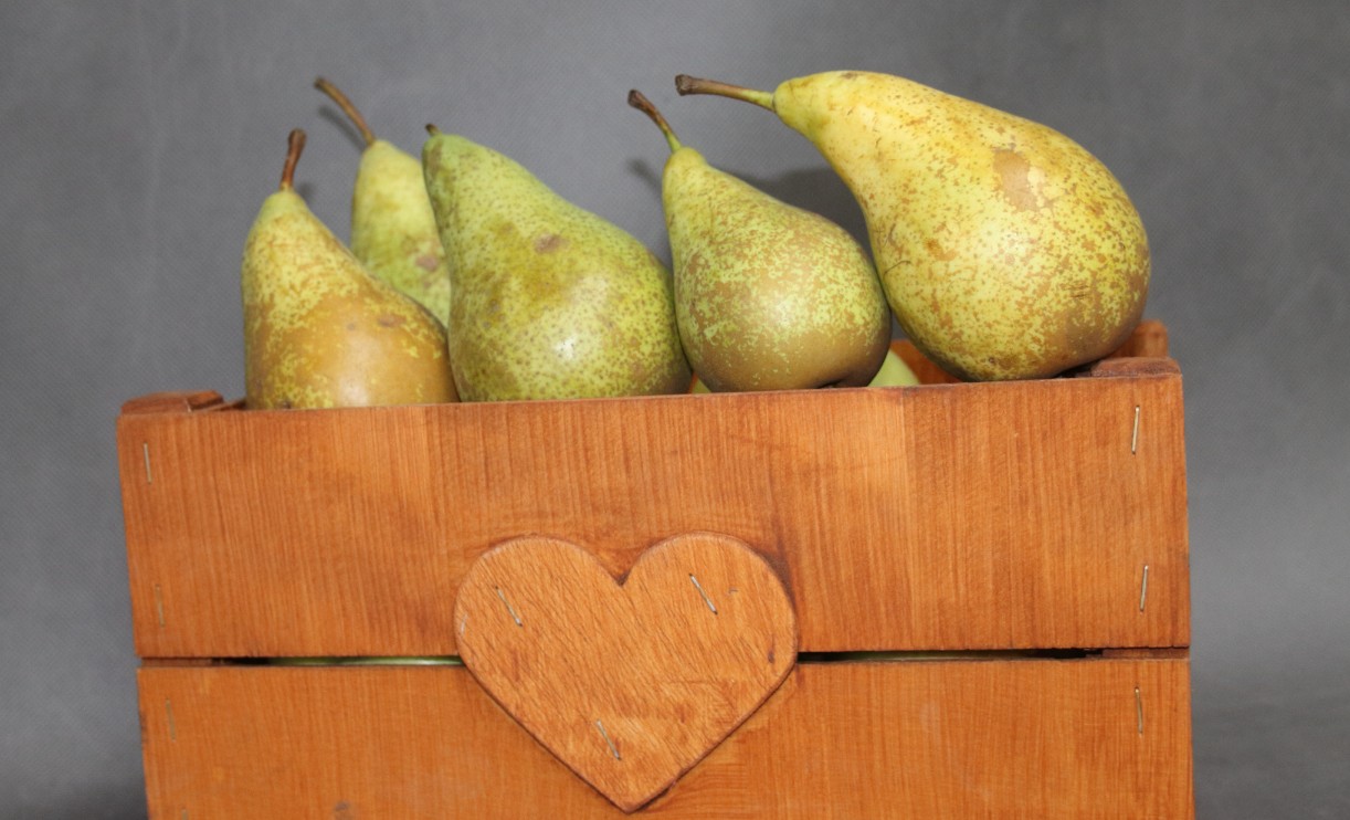 5180e3e03cc17204fff465d6422b3c6a