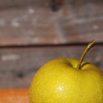 4eeda13c72c809a2e0ef9ad0980b64f0