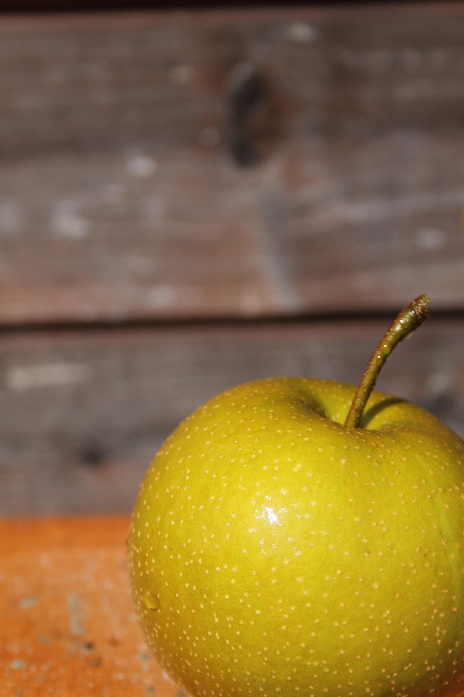 4eeda13c72c809a2e0ef9ad0980b64f0