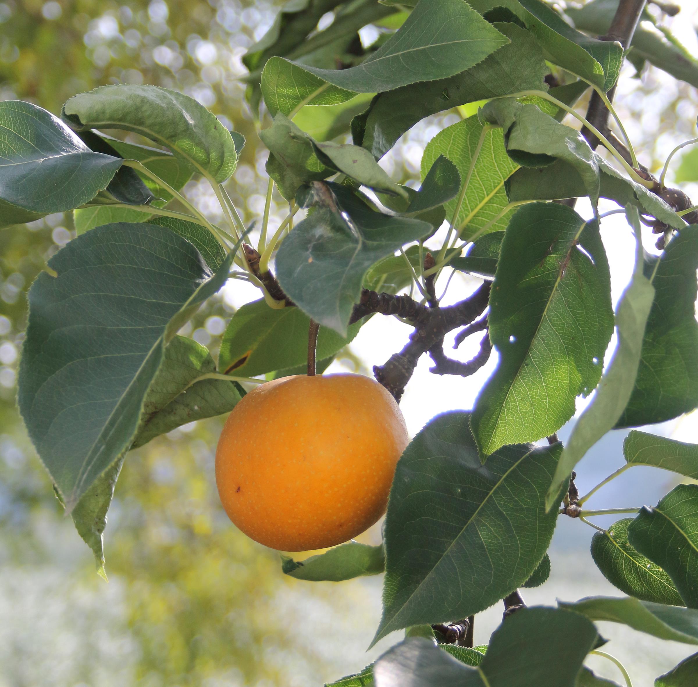 ee9229d8ee884732c7f5541b3b8bff78