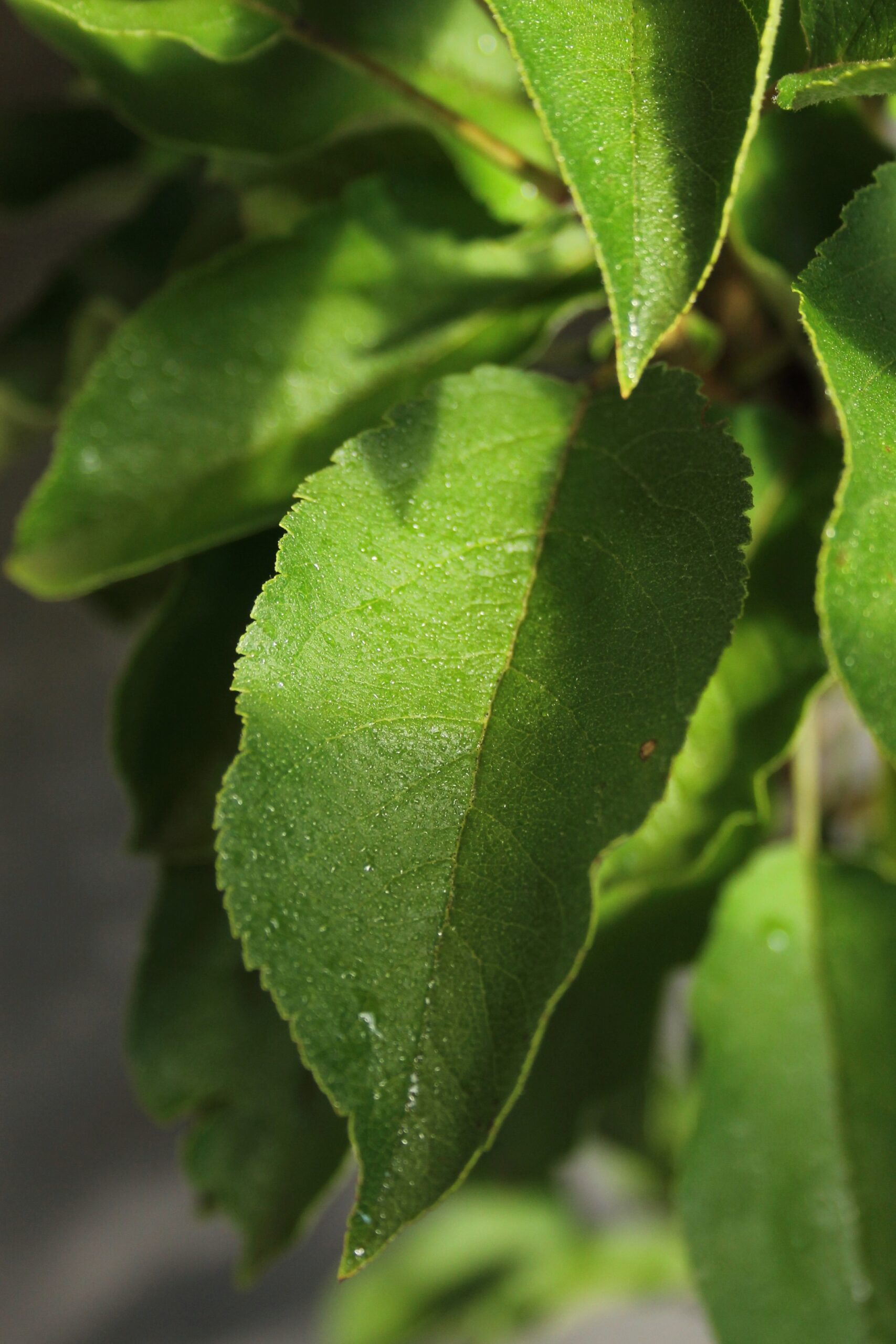 fcab86d41014edced854920a73880880