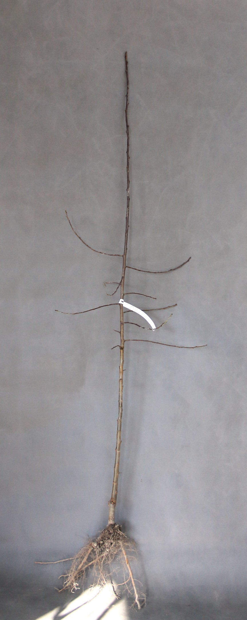 f1ee19887b88144581746e3ed8503dc8