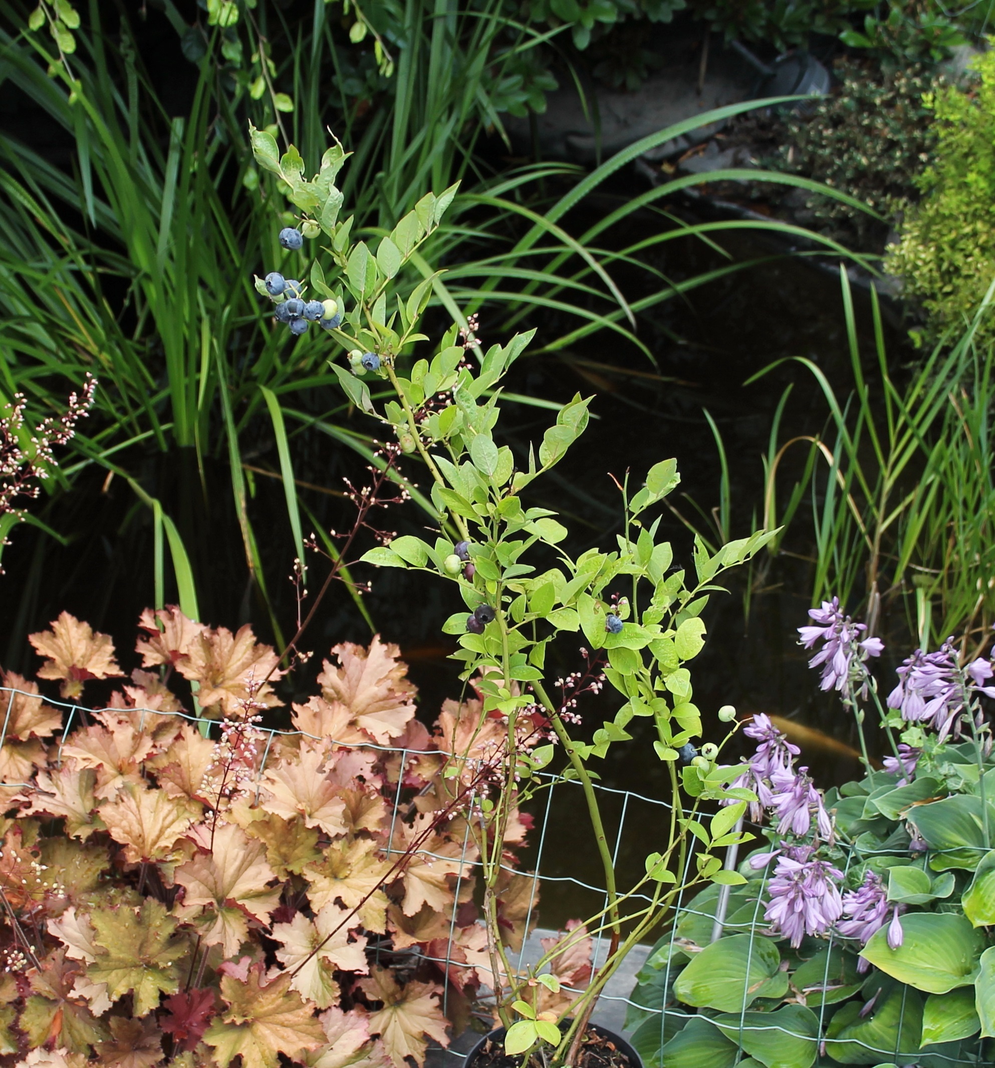 6eab29211cf66d02e9afc850af67e1a1