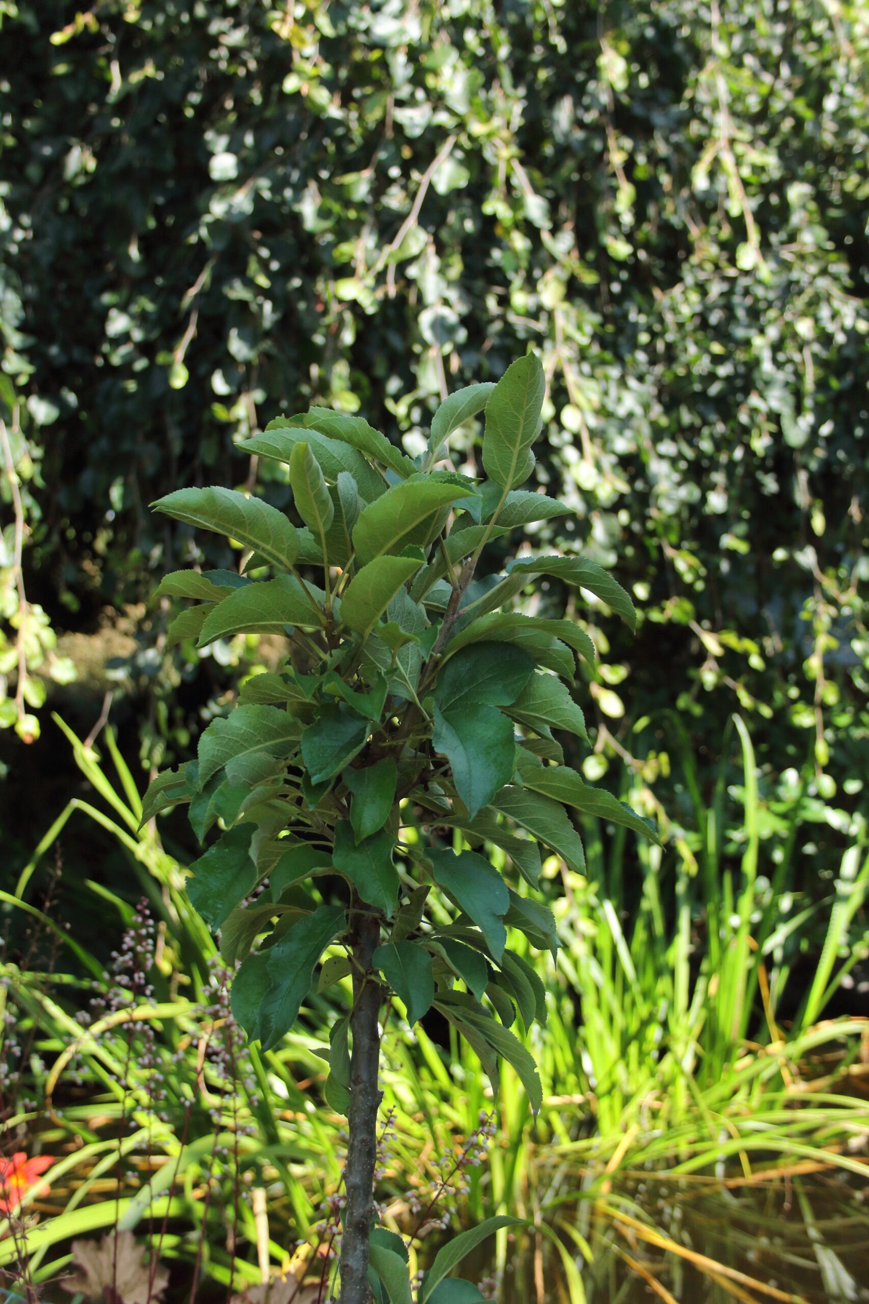 8a67a4d4c0d12f55cc34201fb46b38f3