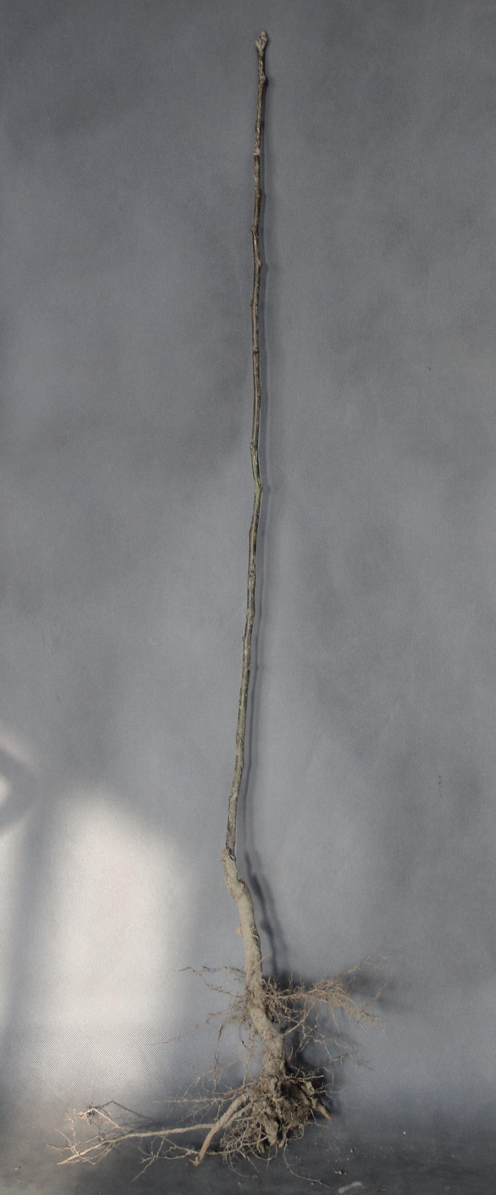 5f34104ea69fc7b7167497eb811885f9