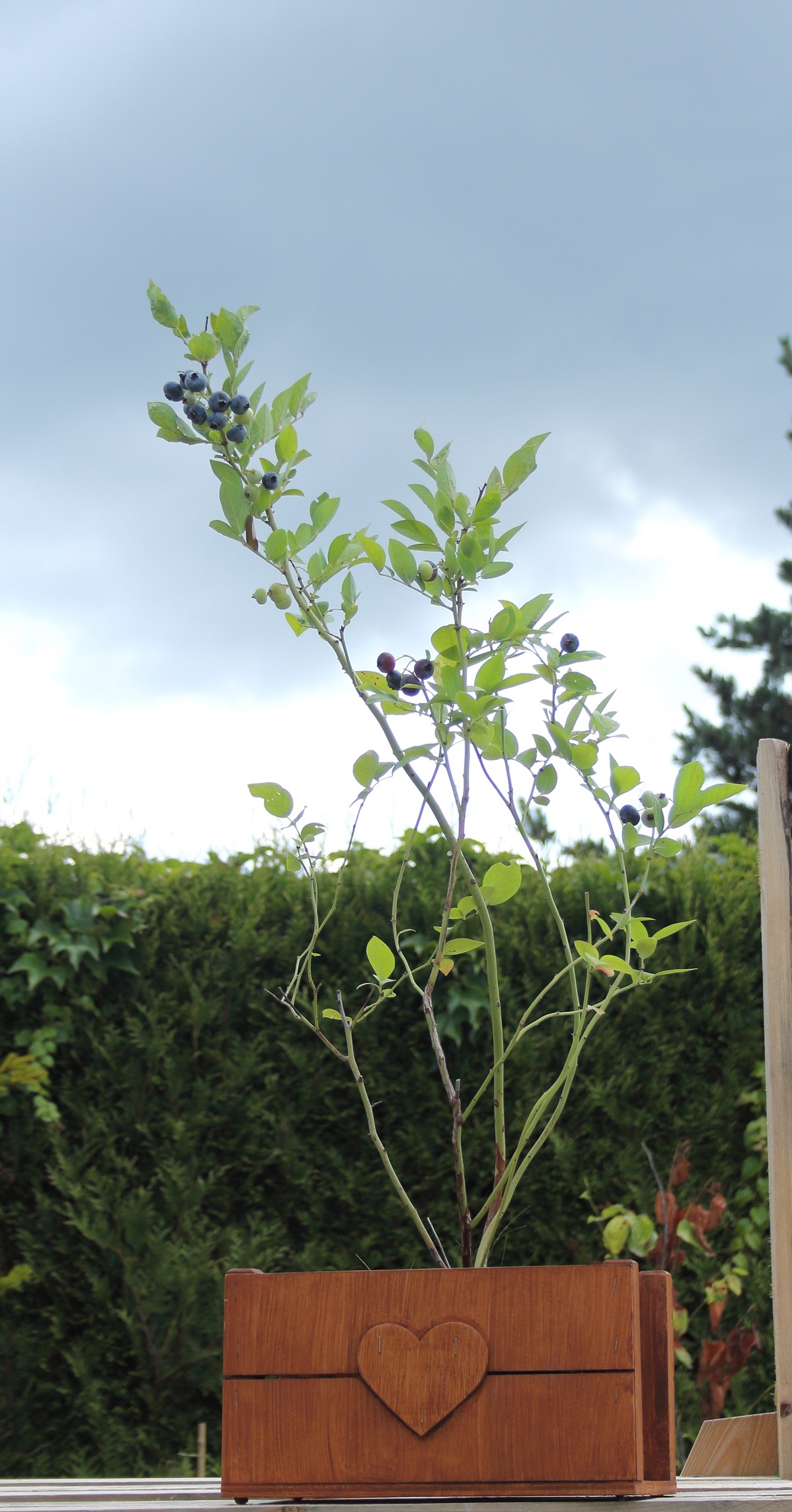 d340653604782f302d2f5e8e1cebe1c2