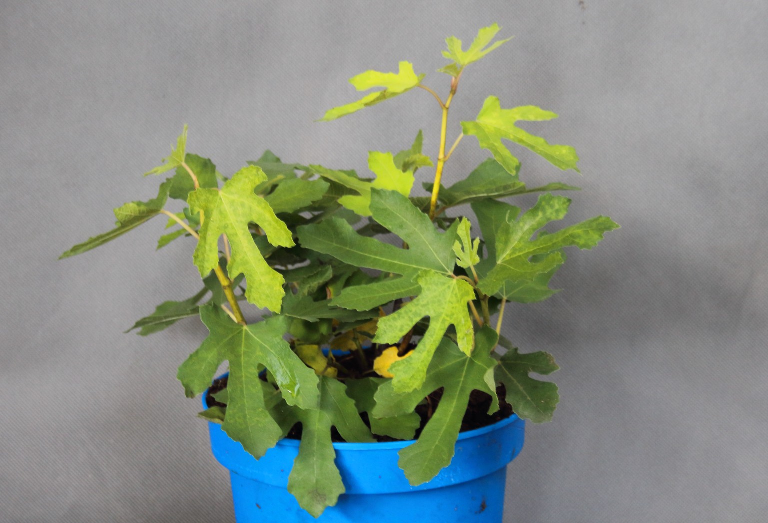 992e3120e470dba97e62603373297a57