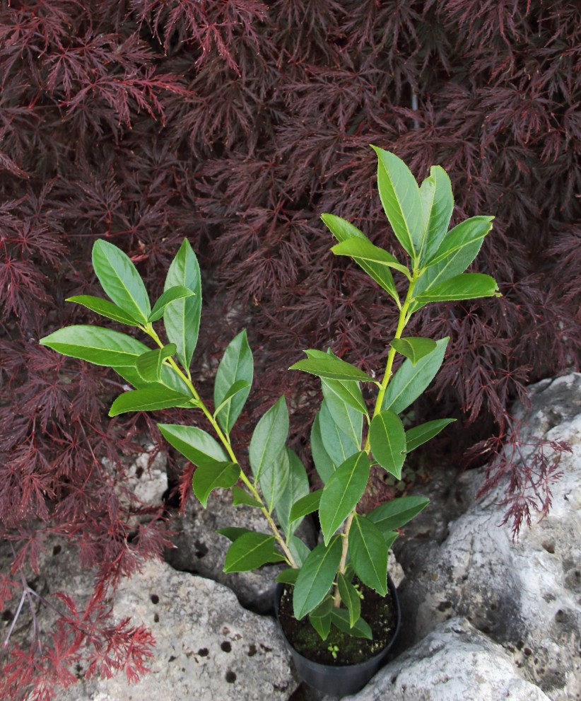 b2c21e9678b23a7d0d87c06e014b1e22