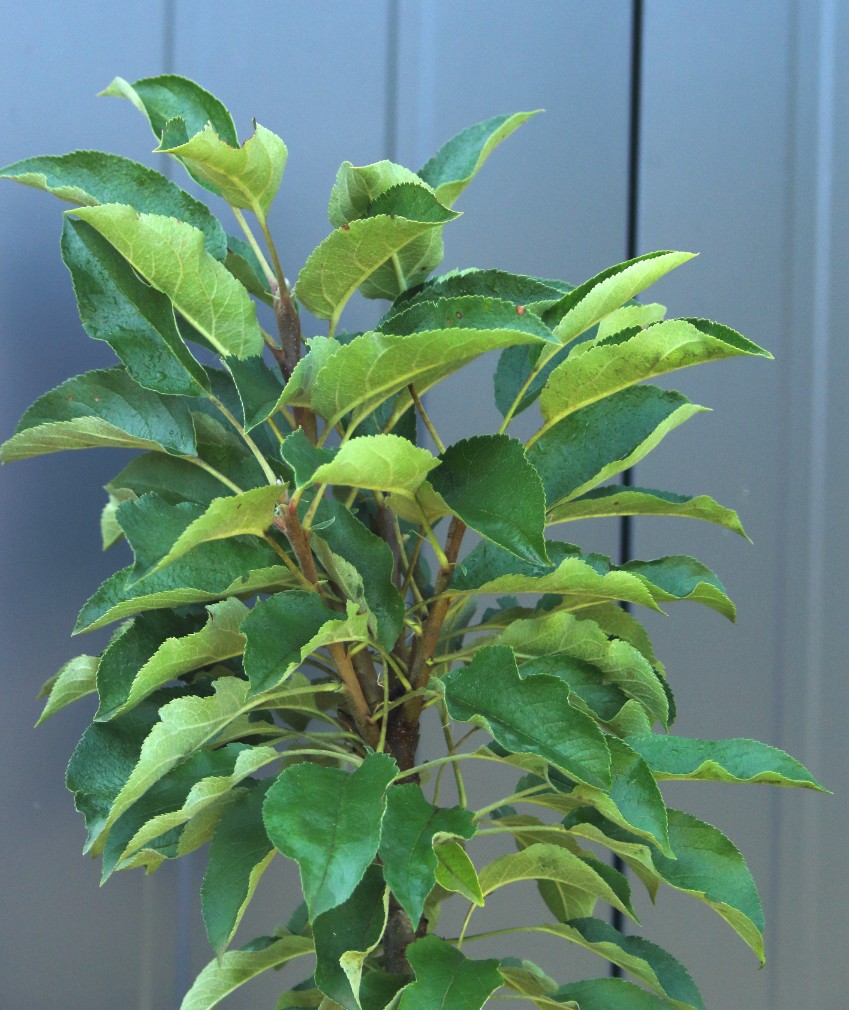 9b9a0c0795293f689348abc19b22ae5c