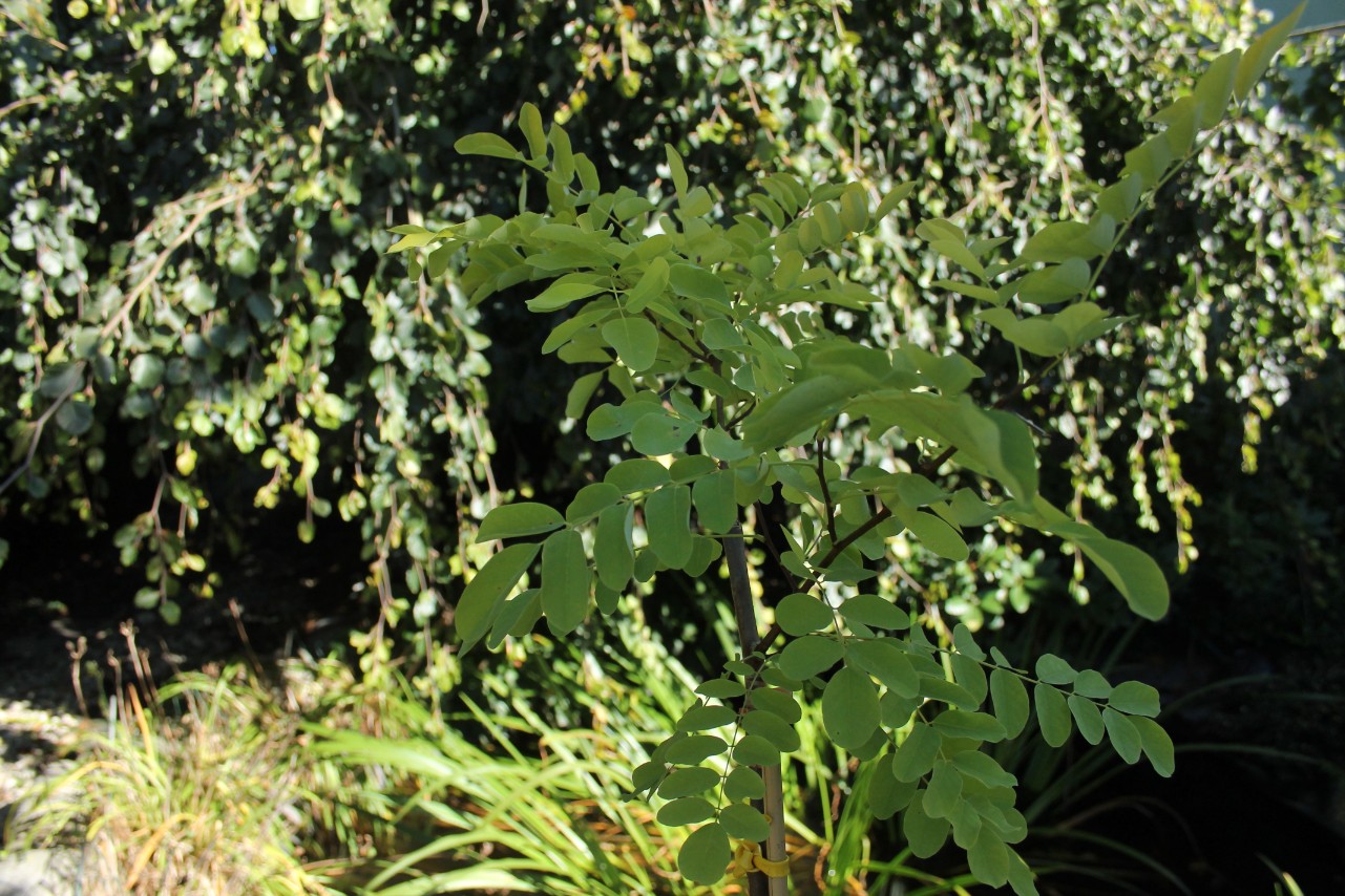 f582b70f0eed75e9390be427f47d8dd3