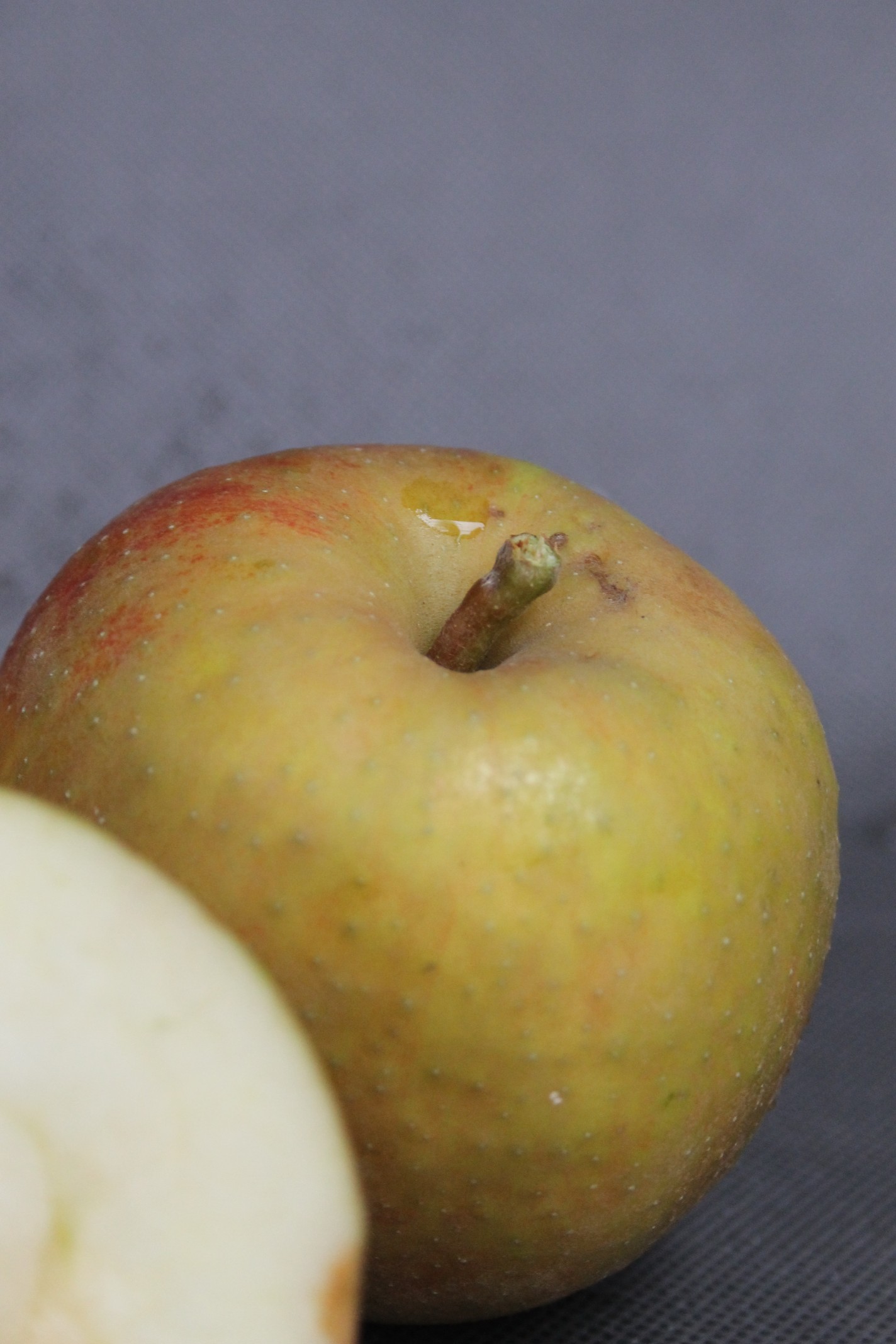 8ef5e803dfb45b734b8443031427a6f0